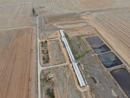 Aerial view - From drone - Captured at Unknown piggery, Patho VIC Australia.