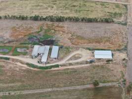 Aerial view - From drone - Captured at Kow Swamp Farms - piggery and dairy, Gunbower VIC Australia.