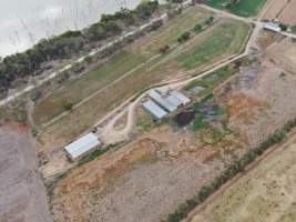 Aerial view - From drone - Captured at Kow Swamp Farms - piggery and dairy, Gunbower VIC Australia.