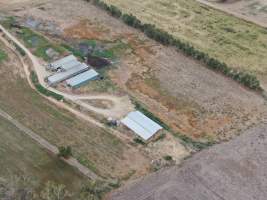 Aerial view - From drone - Captured at Kow Swamp Farms - piggery and dairy, Gunbower VIC Australia.