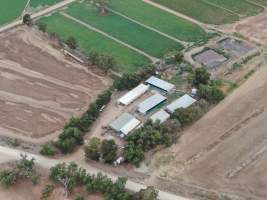 Aerial view - From drone - Captured at Unknown piggery, Gunbower VIC Australia.