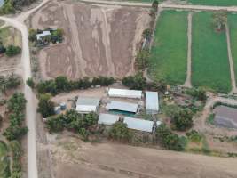 Aerial view - From drone - Captured at Unknown piggery, Gunbower VIC Australia.