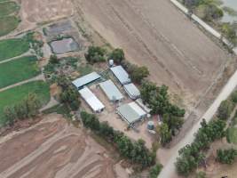 Aerial view - From drone - Captured at Unknown piggery, Gunbower VIC Australia.