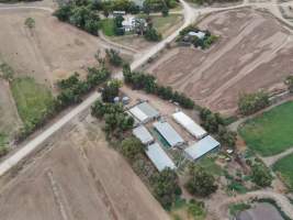 Aerial view - From drone - Captured at Unknown piggery, Gunbower VIC Australia.