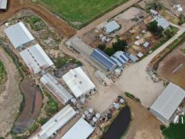 Aerial view - From drone - Captured at Hancock Piggery & Dairy, Leitchville VIC Australia.