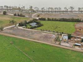 Aerial view - From drone - Captured at Hancock Piggery & Dairy, Leitchville VIC Australia.