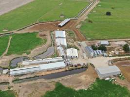 Aerial view - From drone - Captured at Hancock Piggery & Dairy, Leitchville VIC Australia.