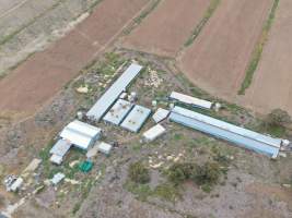 Aerial view - From drone - Captured at Unknown piggery, Leitchville VIC Australia.