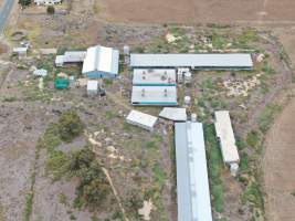 Aerial view - From drone - Captured at Unknown piggery, Leitchville VIC Australia.