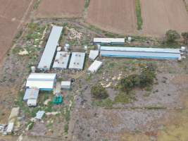 Aerial view - From drone - Captured at Unknown piggery, Leitchville VIC Australia.