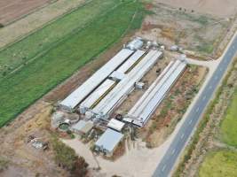 Aerial view - From drone - Captured at Unknown piggery, Leitchville VIC Australia.