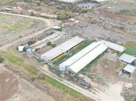 Aerial view - From drone - Captured at Unknown piggery, Leitchville VIC Australia.