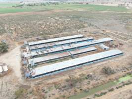 Aerial view - From drone - Captured at K & W Piggery Pty Ltd, Leitchville VIC Australia.