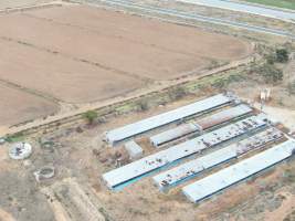 Aerial view - From drone - Captured at K & W Piggery Pty Ltd, Leitchville VIC Australia.