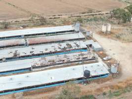 Aerial view - From drone - Captured at K & W Piggery Pty Ltd, Leitchville VIC Australia.