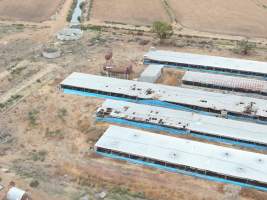 Aerial view - From drone - Captured at K & W Piggery Pty Ltd, Leitchville VIC Australia.