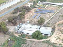 Aerial view - From drone - Captured at Macorna Piggery, Leitchville VIC Australia.