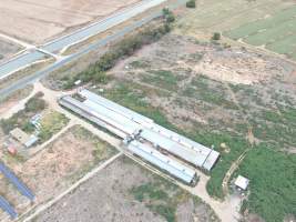 Aerial view - From drone - Captured at Macorna Piggery, Leitchville VIC Australia.