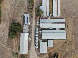 Aerial view - From drone - Captured at Unknown piggery, Leitchville VIC Australia.