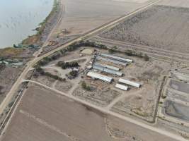 Aerial view - From drone - Captured at EcoPiggery, Leitchville VIC Australia.