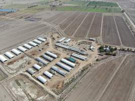 Aerial view - From drone - Captured at Griffiths Farms - Grower Piggery, McMillans VIC Australia.