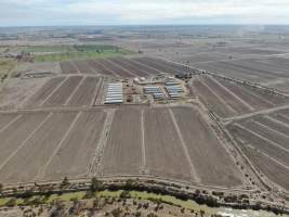 Aerial view - From drone - Captured at Griffiths Farms - Grower Piggery, McMillans VIC Australia.