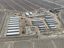 Aerial view - From drone - Captured at Griffiths Farms - Grower Piggery, McMillans VIC Australia.