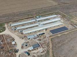 Aerial view - From drone - Captured at Macorna Pastoral Breeder Piggery, Mincha West VIC Australia.