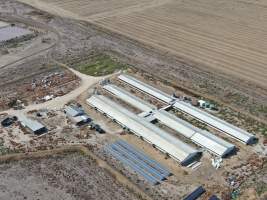 Aerial view - From drone - Captured at Macorna Pastoral Breeder Piggery, Mincha West VIC Australia.