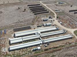 Aerial view - From drone - Captured at Macorna Pastoral Breeder Piggery, Mincha West VIC Australia.