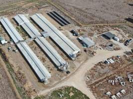 Aerial view - From drone - Captured at Macorna Pastoral Breeder Piggery, Mincha West VIC Australia.