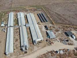 Aerial view - From drone - Captured at Macorna Pastoral Breeder Piggery, Mincha West VIC Australia.