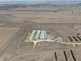 Aerial view - From drone - Captured at Macorna Pastoral Breeder Piggery, Mincha West VIC Australia.