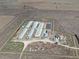 Aerial view - From drone - Captured at Macorna Pastoral Breeder Piggery, Mincha West VIC Australia.