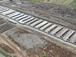 Aerial view - From drone - Captured at Van der Drift & Sons Piggery, Macorna VIC Australia.