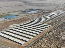 Aerial view - From drone - Captured at Van der Drift & Sons Piggery, Macorna VIC Australia.