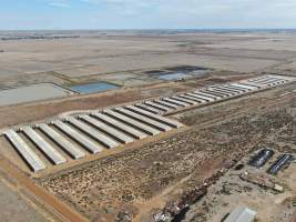 Aerial view - From drone - Captured at Van der Drift & Sons Piggery, Macorna VIC Australia.