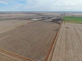 Aerial view - From drone - Captured at Van der Drift & Sons Piggery, Macorna VIC Australia.