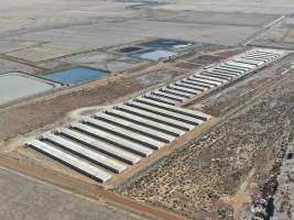 Aerial view - From drone - Captured at Van der Drift & Sons Piggery, Macorna VIC Australia.