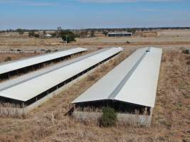 Aerial view - From drone - Captured at Unknown piggery, Macorna VIC Australia.