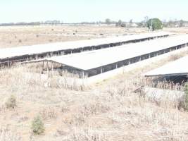 Aerial view - From drone - Captured at Unknown piggery, Macorna VIC Australia.