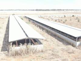 Aerial view - From drone - Captured at Unknown piggery, Macorna VIC Australia.