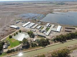 Aerial view - From drone - Captured at Wondaphil Pork Company, Tragowel VIC Australia.