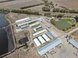 Aerial view - From drone - Captured at Wondaphil Pork Company, Tragowel VIC Australia.