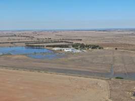 Aerial view - From drone - Captured at Wondaphil Pork Company, Tragowel VIC Australia.