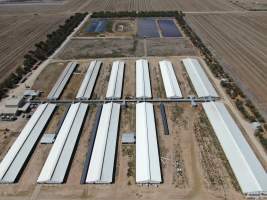 Aerial view - From drone - Captured at Walla Farms Piggery, Yarrawalla VIC Australia.