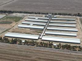 Aerial view - From drone - Captured at Walla Farms Piggery, Yarrawalla VIC Australia.