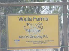 Sign at front - Walla Farms - Kia-Ora Breeding P/L, breeding stock supplied by CEFN Genetics - Captured at Walla Farms Piggery, Yarrawalla VIC Australia.