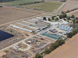 Aerial view - From drone - Captured at Kia-Ora Piggery, Yarrawalla VIC Australia.