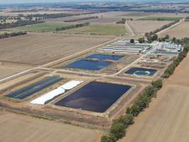 Aerial view - From drone - Captured at Kia-Ora Piggery, Yarrawalla VIC Australia.